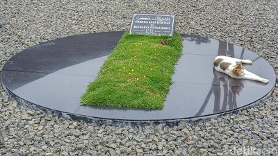 Makam Eril dan Kucing yang Menjaga
