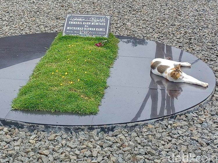 Makam Eril dan Kucing yang Menjaga