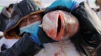 Seorang peserta mengangkat ikan berukuran besar.