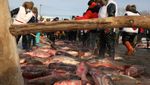Saat Danau Beku di China Jadi Tempat Festival Memancing Ikan