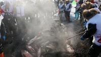 Ratusan ikan berhasil di pancing menggunakan jaring.