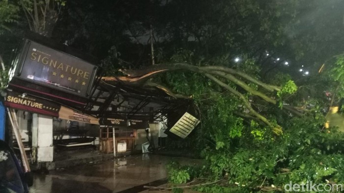 Sebuah pohon di Jalan Pahlawan, Semarang, tumbang akibat angin kencang malam ini, Rabu (28/12/2022).
