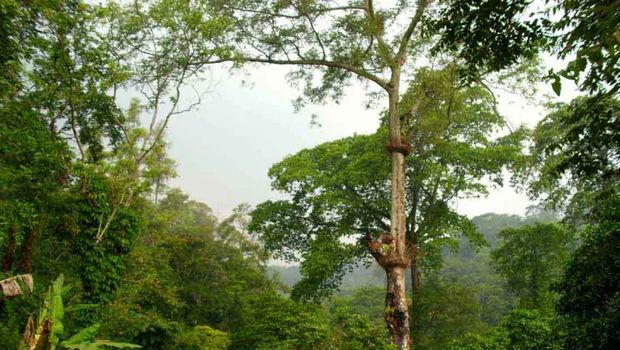 Taman Wisata Alam Tretes, Jawa Timur