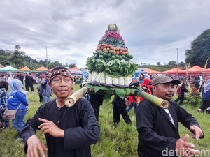 Mengenal Dongdang dan Perbedaannya dengan Jampana, Simak Penjelasannya