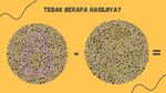 Tes Buta Warna, Bisa Jawab dari Hasil Hitung Angka Ini?