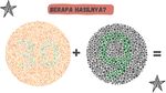 Tes Buta Warna, Bisa Jawab dari Hasil Hitung Angka Ini?