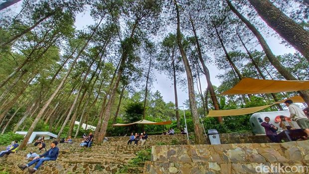 Berg, kedai kopi di Gunung Puntang.