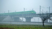 Sebagai sebuah proyek penting untuk Strategi Pembangunan Barat (West Development Strategy) China, jalur kereta itu diharapkan dapat mendorong pertumbuhan ekonomi dan keterbukaan berkualitas tinggi di kawasan China barat daya. Liu Zhongjun/CNS/Getty Images  