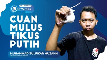 Cuan Mulus Ternak Tikus