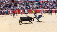 Ini adalah Festival San Fermin yang digelar di Kota Pamplona, Spanyol. Festival ini berlangsung mulai dari 6-14 Juli setiap tahunnya. Dalam festival yang digelar sejak abad ke-14 ini, para matador dari berbagai negara akan unjuk kebolehan menundukkan banteng. David Benito/Getty Images.
