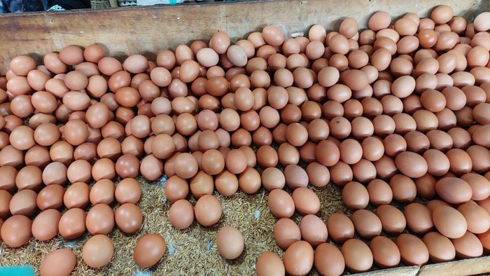Harga telur ayam turun jelang tahun baru
