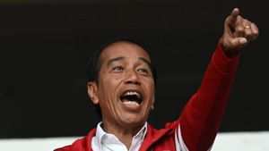 Kursi Panas Menpora di Tangan Jokowi Sepeninggalan Amali