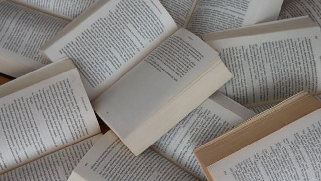 Apa Itu Fakta Literatur Apa Itu Fakta Literatur