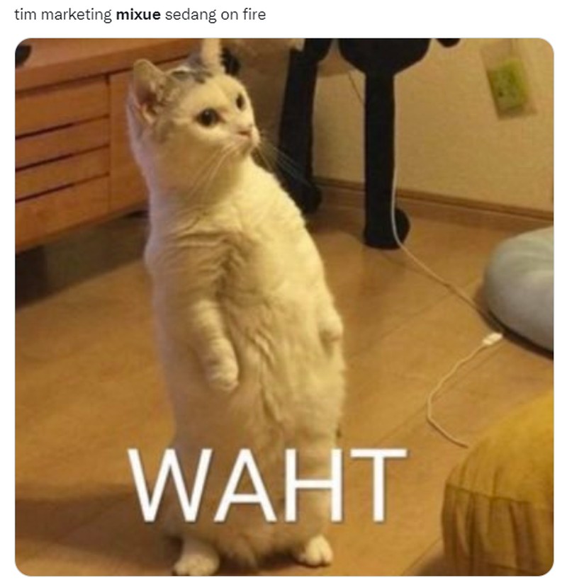 Meme Mixue Bagian 2