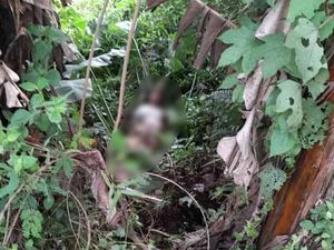 6 Fakta ABG Bogor Lemas di Semak-semak Usai Temui Kenalan Dunia Maya