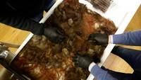 Daur ulang rambut tersebut disebut dapat digunakan untuk menyerap minyak dan hidrokarbon yang mencemari lingkungan.  