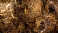 Patrick Janssen mengatakan untuk 1 kilogram rambut dapat menyerap 7-8 liter minyak dan hidrokarbon.  