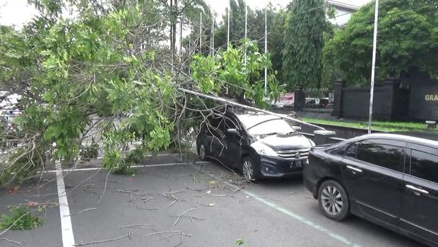 Pohon di depan kantor Gubernur Jawa Tengah, Semarang, tumbang dan menimpa sebuah mobil yang tengah parkir, Kamis (29/12/2022).