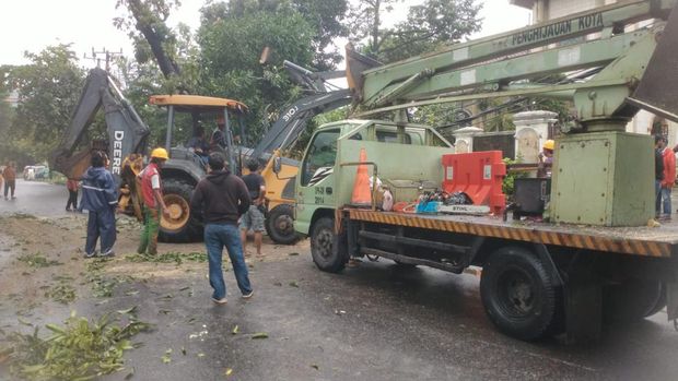 Pohon tumbang di halaman rumah pengusaha Aksa Mahmud di Makassar.