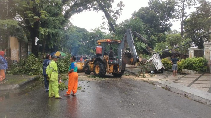 Pohon tumbang di halaman rumah pengusaha Aksa Mahmud di Makassar.