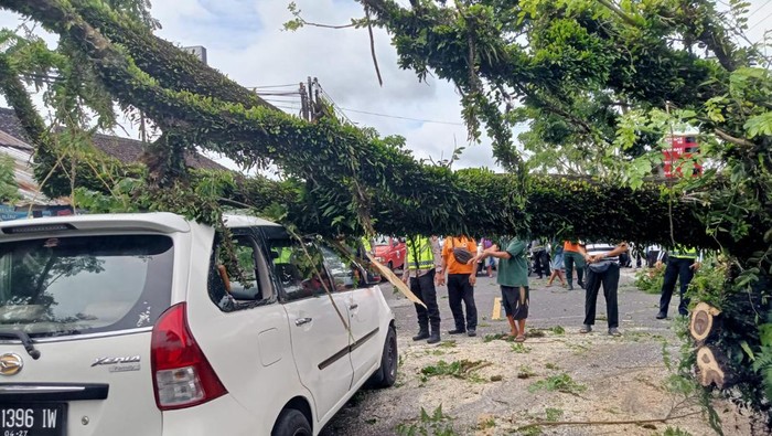 Satu unit mobil tertimpa pohon tumbang saat melintas di jalur Denpasar-Singaraja pada Rabu (28/12/2022).