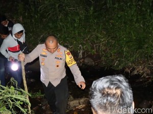 Petani di Bengkulu Nekat Tanam Ganja di Kebun Kopi