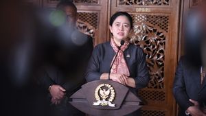 Puan Ingatkan Pemerintah dan TNI-Polri Jaga Keamanan Saat Nataru