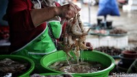 Namun, jangan khawatir, untuk harga udang dan cumi saat ini masih relatif stabil.