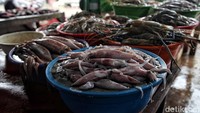 Untuk harga ikan mengalami kenaikan harga dari Rp 5000 - Rp 10.000 per ikannya. Misal kan harga ikan tongkol sebelumnya Rp 20.000 per kilogram menjadi Rp 30.000 per kilogram.