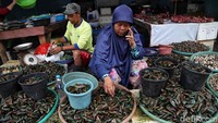 Pedangang menjelaskan bahwa ikan, kerang, cumi dan udang mengalami kenaikan harga menjelang tahun baru.  