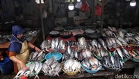 Penampakan ikan yang dijajarkan oleh salah satu pedagang yang ada di pasar Cilincing, Jakarta Utara, Kamis (29/12/2022).