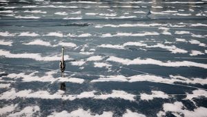 Potret Sungai Han Korea Selatan yang Membeku