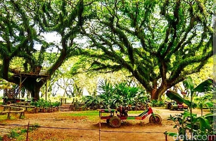 Wisata Banyuwangi rawan bencana