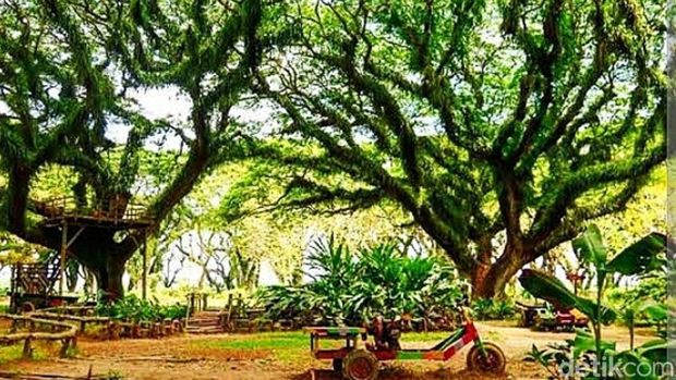 Wisata Banyuwangi rawan bencana