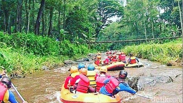 Wisata Banyuwangi rawan bencana