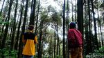 Wisata Gunung Pancar Sentul yang Dituding Kelewat Mahal