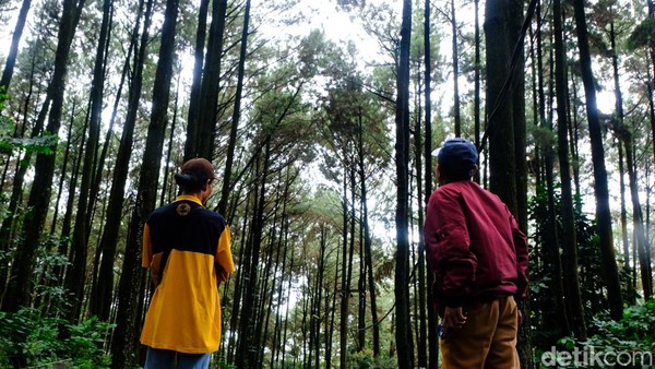 Setelah membayar tiket masuk, kami melanjutkan perjalanan menuju pemandian air panas yang jaraknya sekitar 1 kilometer. Jalan yang dilalui terbilang sempit dan hanya muat untuk satu mobil. Jalan menuju ke sana juga tak selalu mulus. Ada juga bagian yang bergelombang dan licin karena Bogor diguyur hujan. Setelah membayar tiket masuk, kami melanjutkan perjalanan menuju pemandian air panas yang jaraknya sekitar 1 kilometer. Jalan yang dilalui terbilang sempit dan hanya muat untuk satu mobil. Jalan menuju ke sana juga tak selalu mulus. Ada juga bagian yang bergelombang dan licin karena Bogor diguyur hujan.