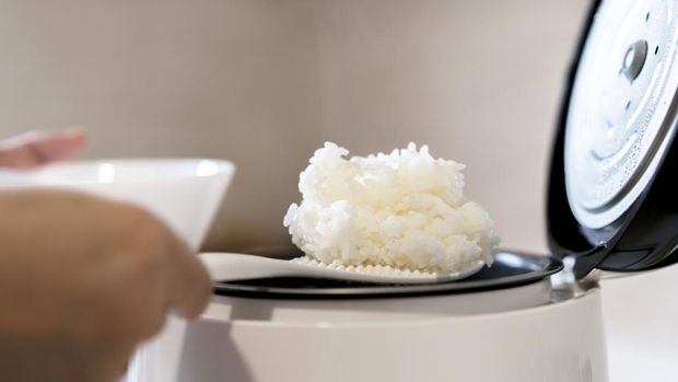nasi putih