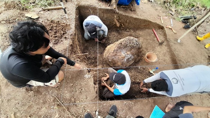 Sepanjang tahun 2022, ditemukan sejumlah fosil di berbagai belahan dunia. Fosil-fosil ini dijamin sanggup membuat Anda takjub. Penasaran?
