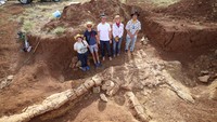 Lanjut, pada 13 Desember 2022, ahli paleontologi Museum Queensland terlihat di pusat penggalian fosil reptil laut di Mckinlay, Queensland, Australia. Mereka menemukan fosil reptil laut berleher panjang berusia 100 juta tahun. Reptil tersebut merupakan Elasmosaurus dengan leher yang panjang. QUEENSLAND MUSEUM via Reuters.