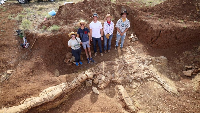 Sepanjang tahun 2022, ditemukan sejumlah fosil di berbagai belahan dunia. Fosil-fosil ini dijamin sanggup membuat Anda takjub. Penasaran?