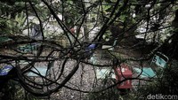 Semak belukar yang juga tetap dipertahankan agar terlihat dan bernuansa tempo doeloe sudah menyergap saat memasuki kedai kopi Uncle Jo di Kota Bogor itu. Kedai kopi ini membiarkan susana seperti apa adanya tanpa penambahan interior dan eksterior modern yang mencolok. Selain tanaman hias di halaman yang luas, suasana alam juga sangat terasa kental dan menyatu dengan teras rumah tempo dulu yang kini difungsikan sebagai kedai kopi.