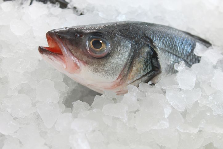 Ini 5 Cara Memilih Ikan Segar untuk Jamuan Pesta Tahun Baru