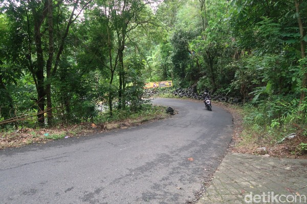 Memang tidak seindah bukti bintang tapi pemandangan pepohonan yang hijau di Jalur Cinomati cukup memanjakan mata. Memang tidak seindah bukti bintang tapi pemandangan pepohonan yang hijau di Jalur Cinomati cukup memanjakan mata.
