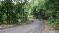 Memang tidak seindah bukti bintang tapi pemandangan pepohonan yang hijau di Jalur Cinomati cukup memanjakan mata.