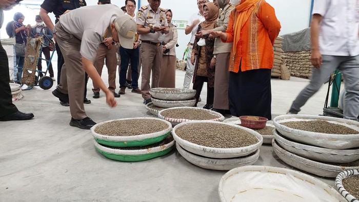 Karantina Pertanian Belawan saat melihat kopi ekspor asal Sumut. (Foto: Istimewa)