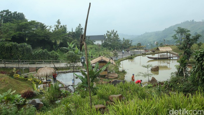 Kopi Koneng di Sentul, Bogor