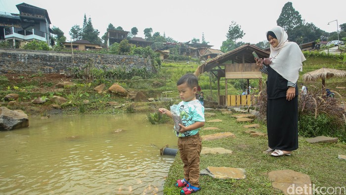 Kopi Koneng di Sentul, Bogor