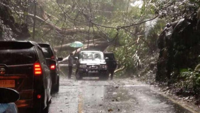 Jalan Poros Maros-Bone, Kabupaten Maros, Sulawesi Selatan (Sulsel) kembali tertutup akibat pohon tumbang.