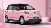 Di China, mobil listrik ini dibanderol dengan harga 56.800 yuan atau kalau dirupiahkan setara Rp 127 jutaan. Foto: Car News China